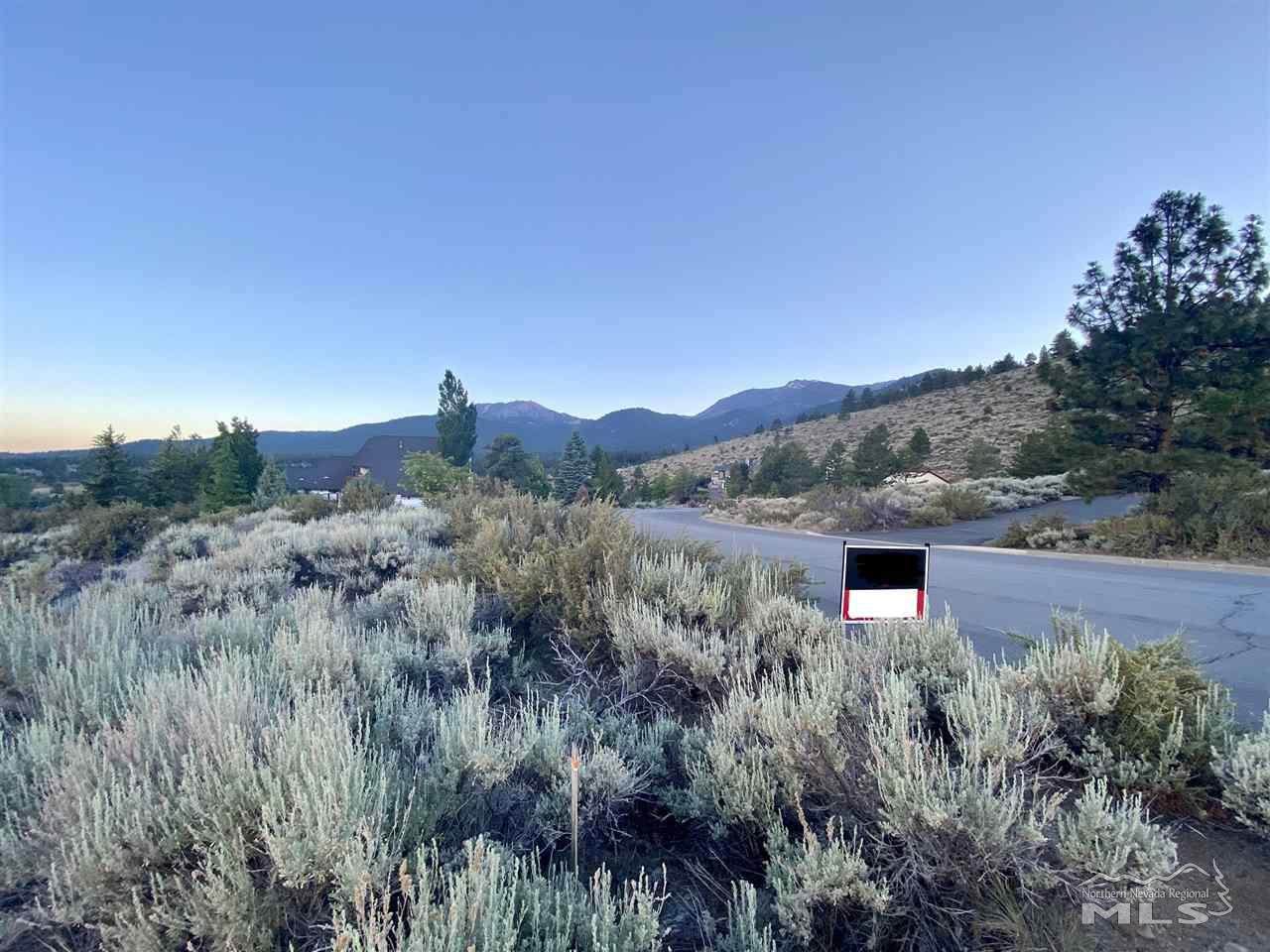 16210 Timberline - Photo 1