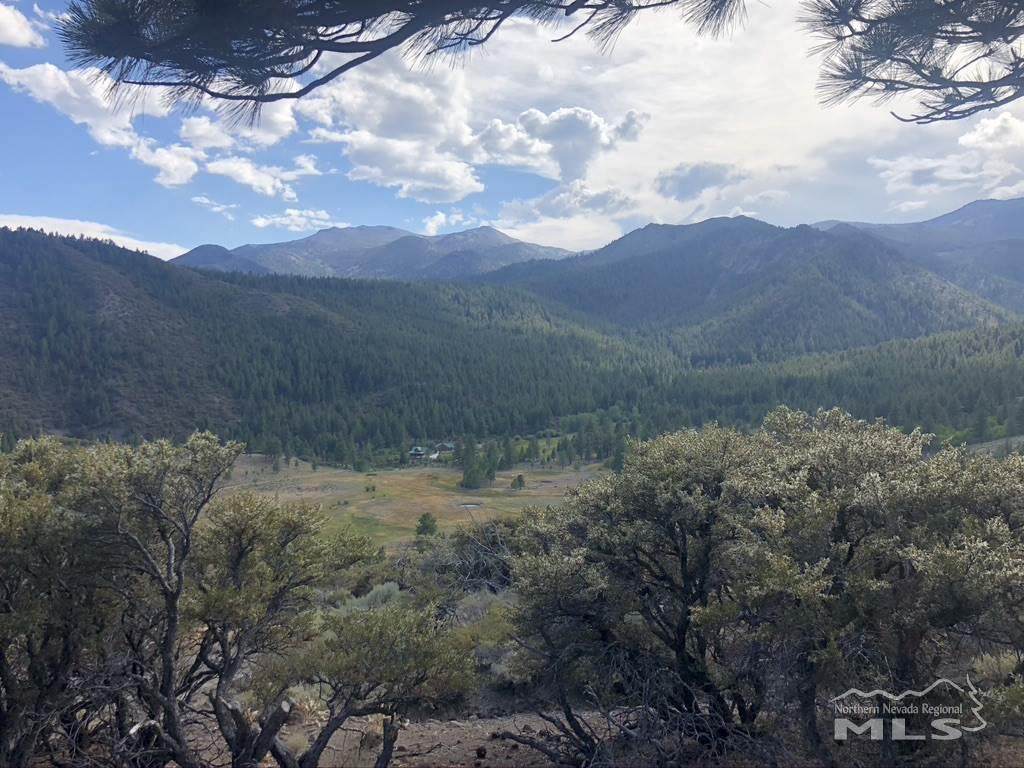 16295 Logan Meadow Ln. - Photo 1