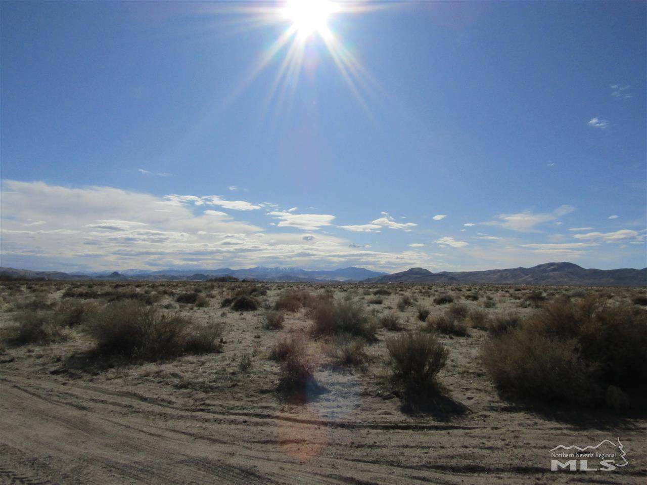 4405 3rd Street - Photo 1