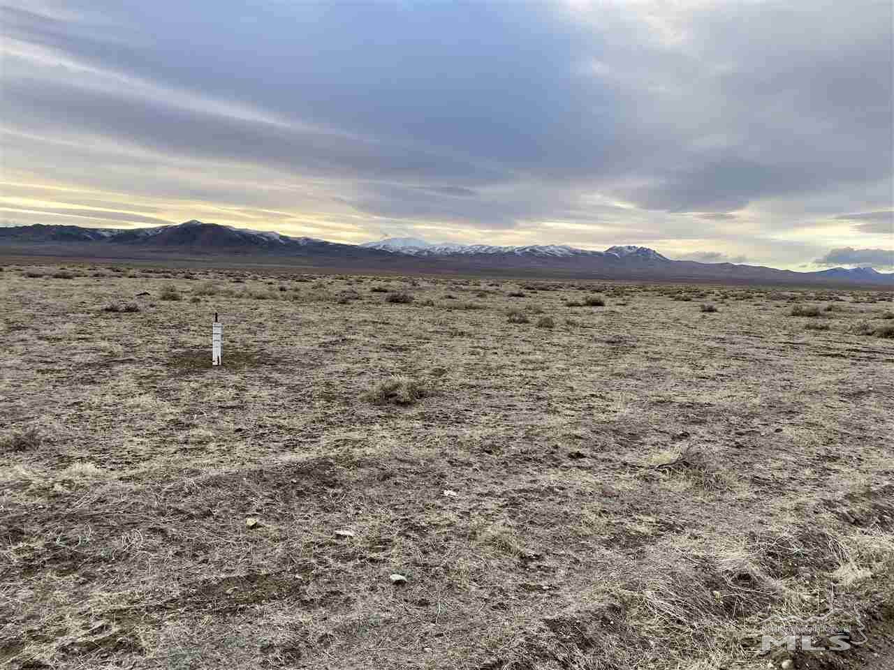 00230003 Backside Of Rye Patch Road - Photo 1