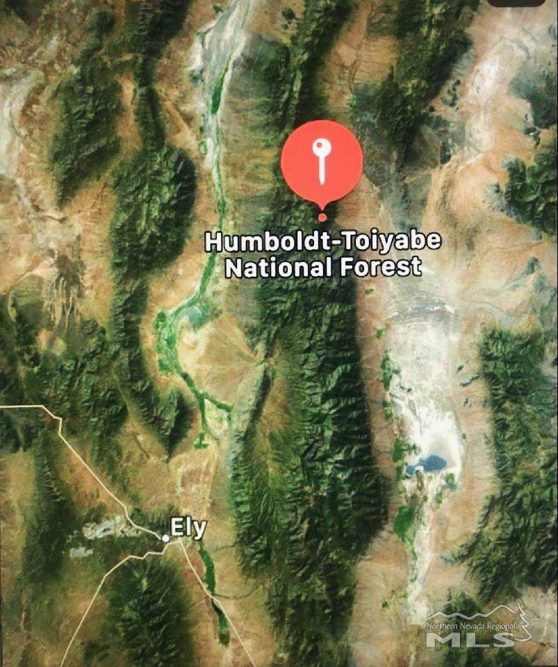 Ruby Hill Mining District - Photo 1