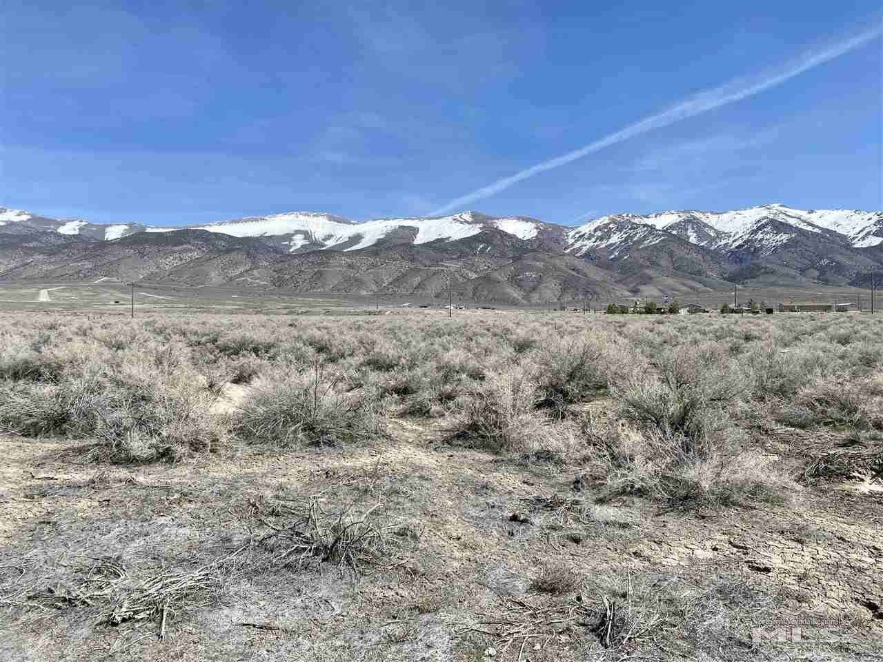 21010 Walker Lake Road - Photo 1