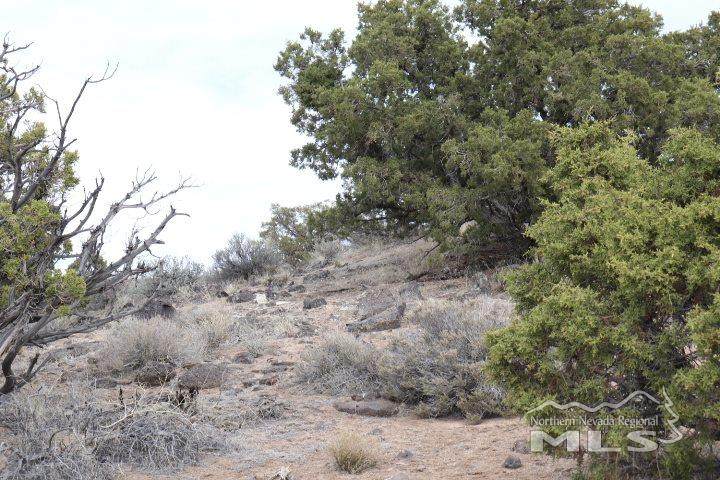 000 Los Arboles Lane - Photo 1