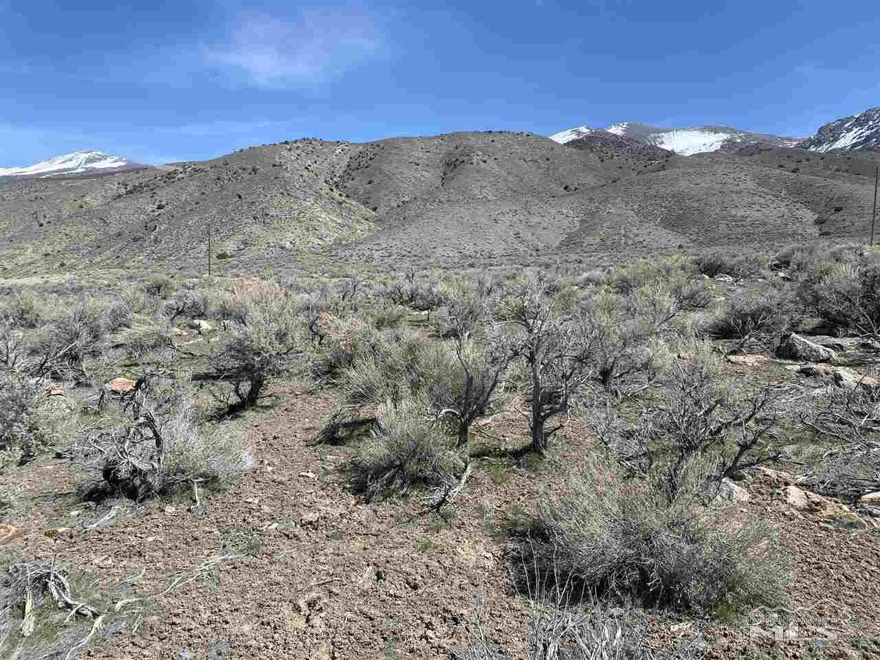 12190 Rye Patch Reservoir Road - Photo 1