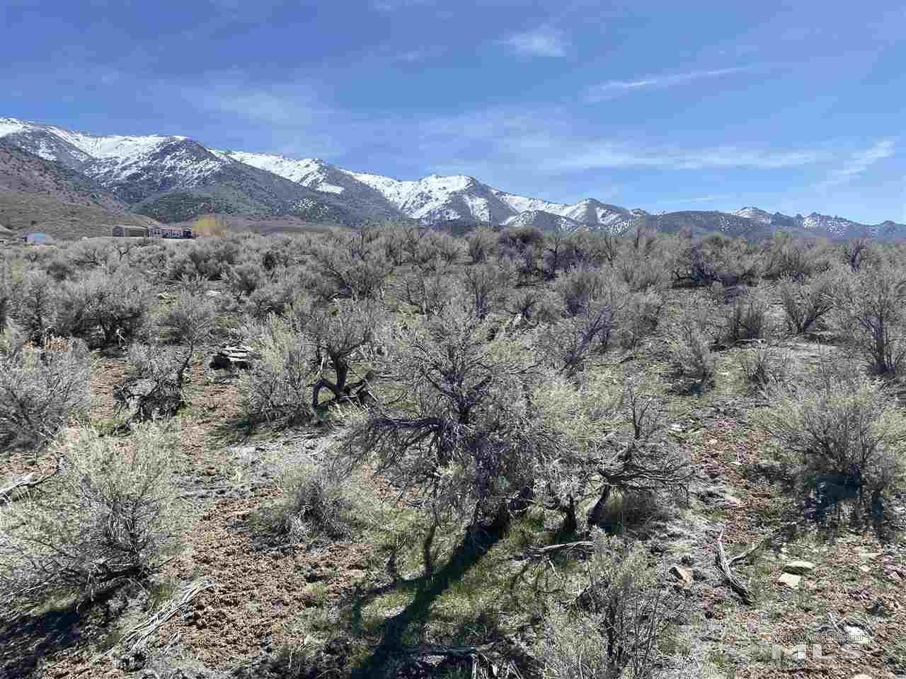 12275 Churchill Trail - Photo 1