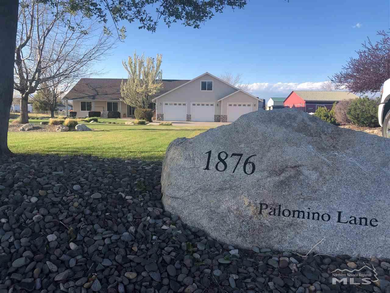 1876 Palomino - Photo 1