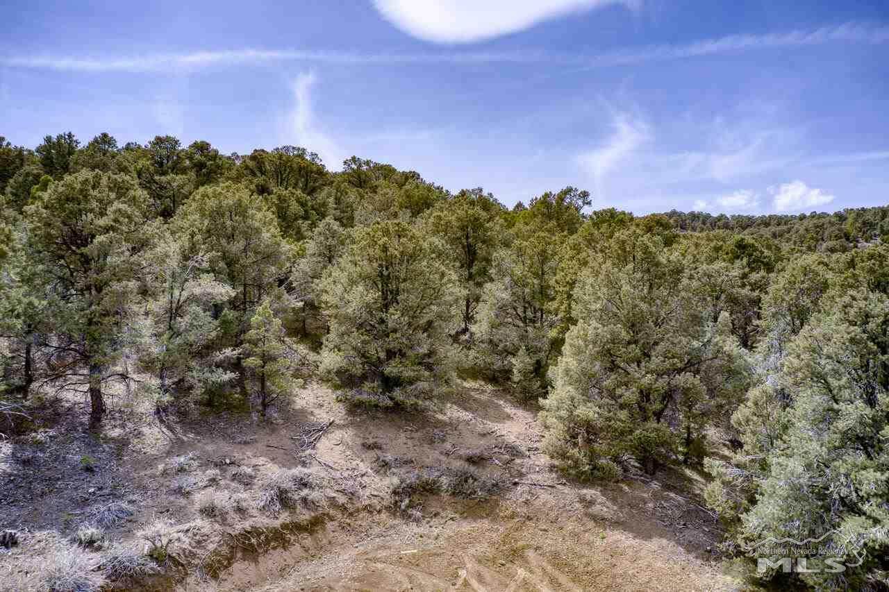 21711 Clemens Rd - Photo 1