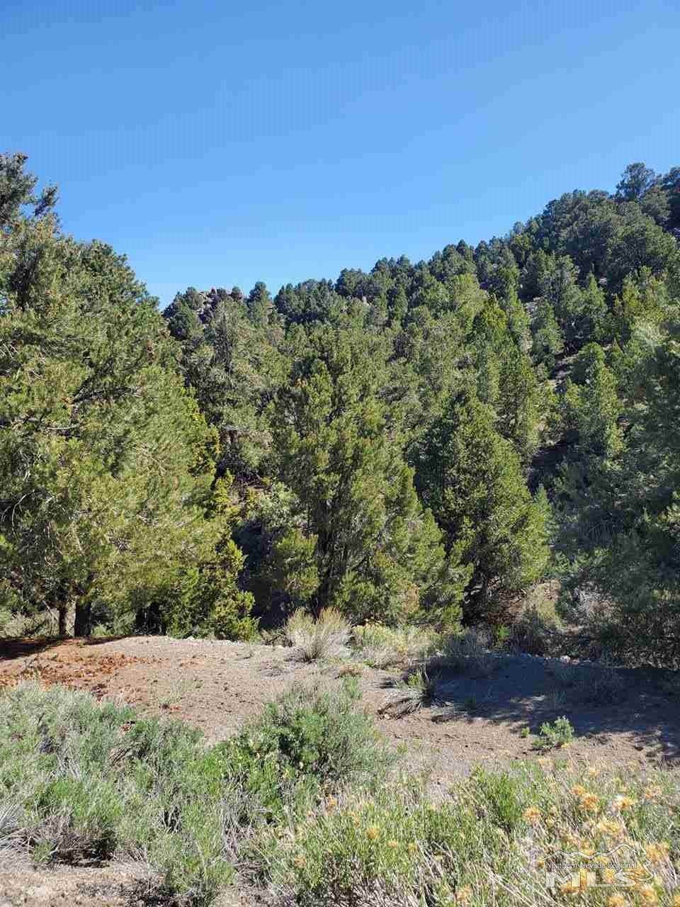 22140 Clemens Rd. - Photo 1