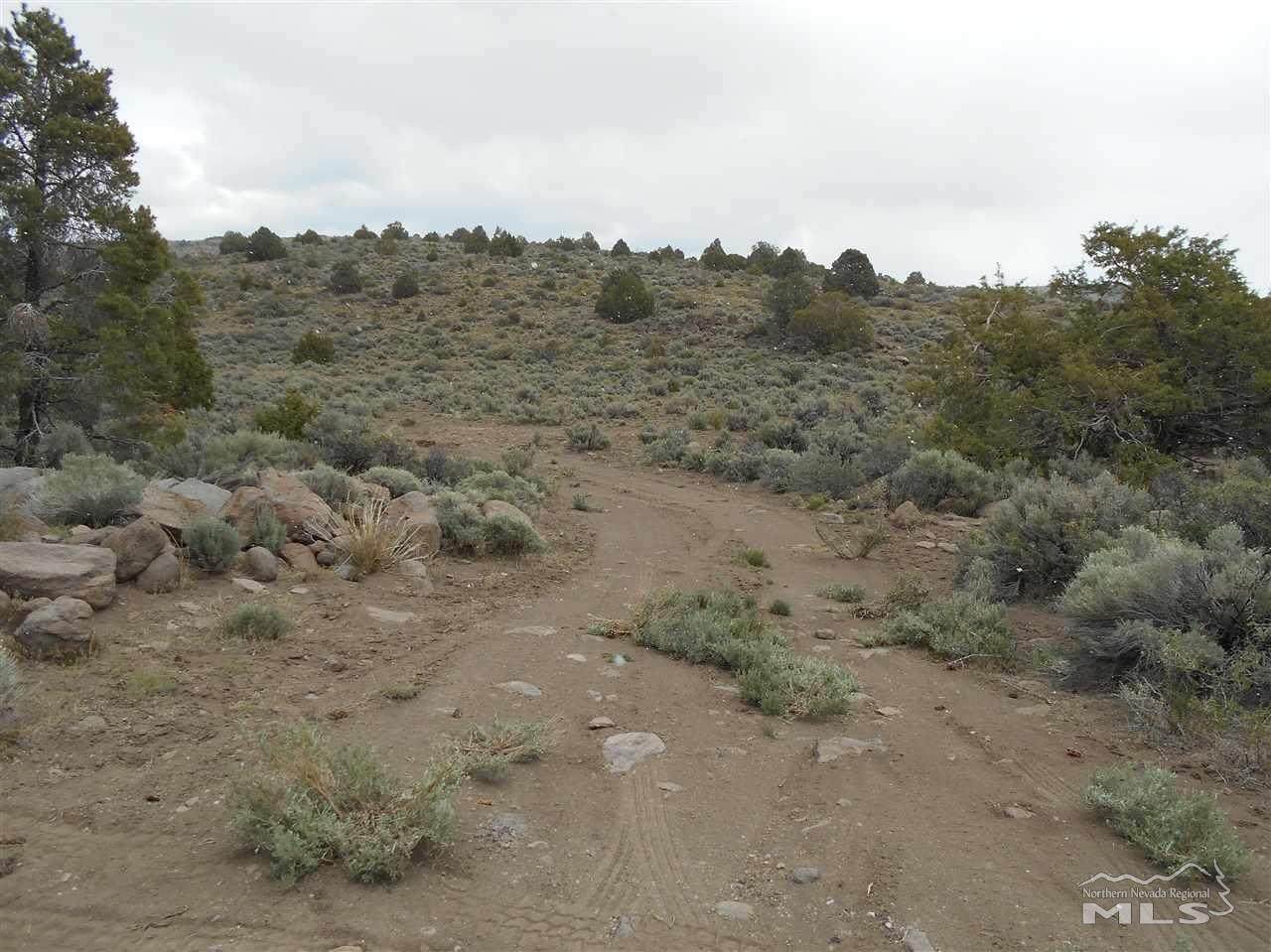 2820 Bullfrog Rd - Photo 1