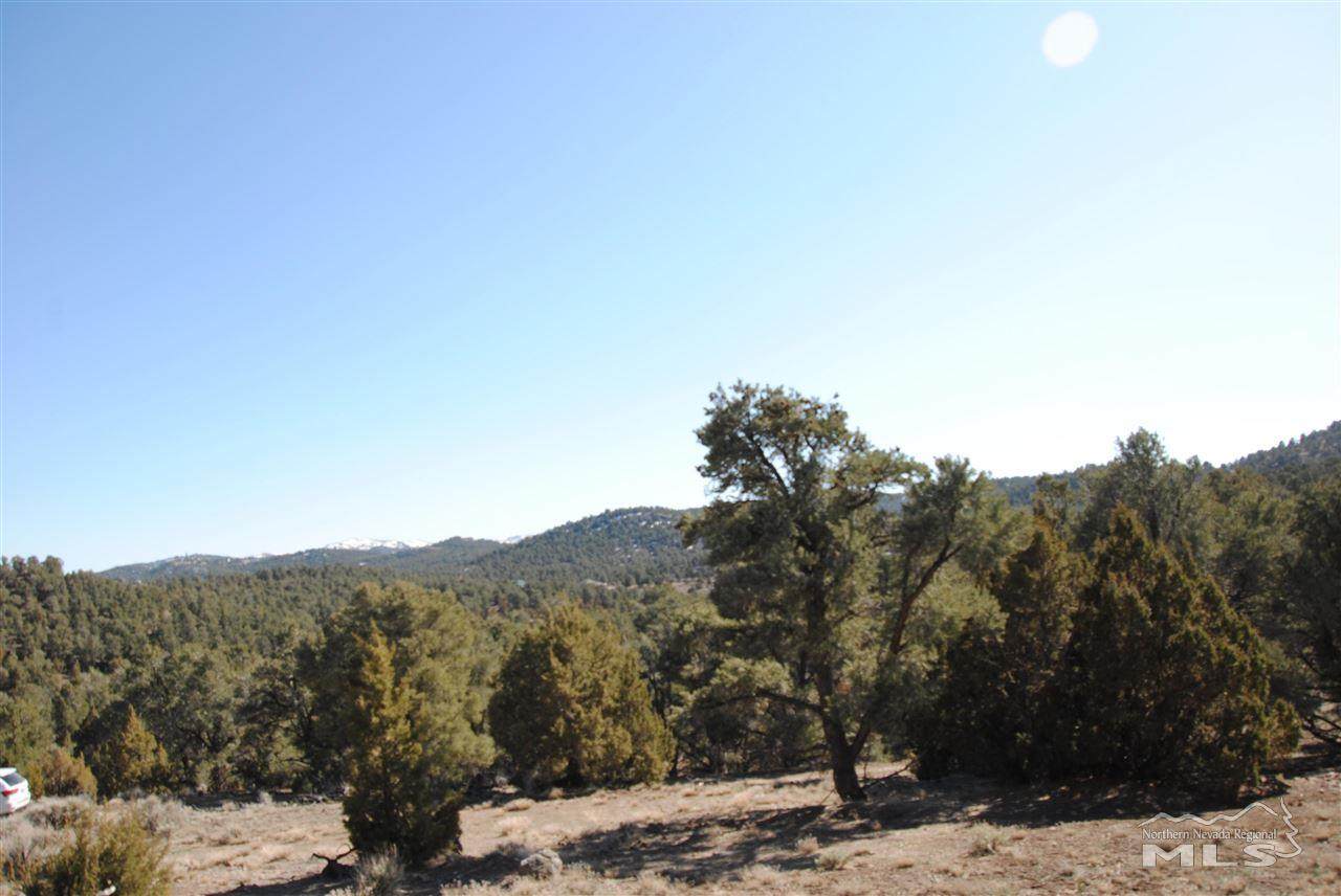 2080 Scorpion Road - Photo 1