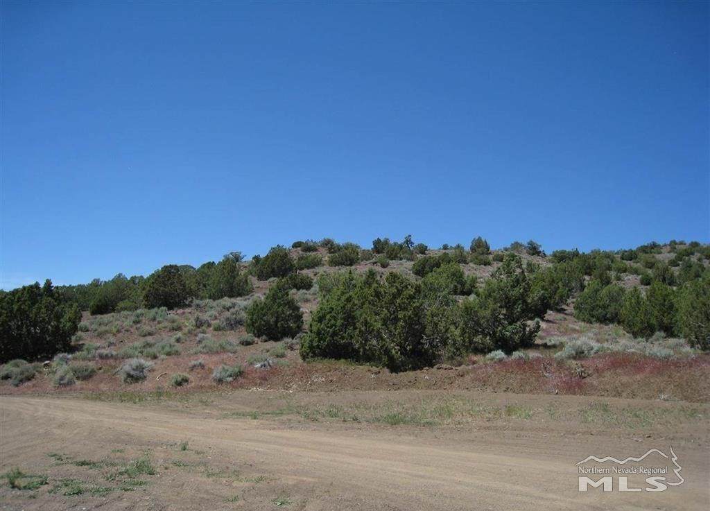 0 Left Hand Canyon - Photo 1