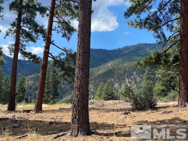 192 Scenic Range Ct - Photo 1
