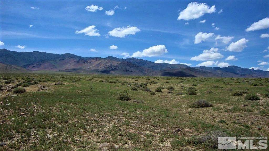 0 Old Emigrant Trail - Photo 1
