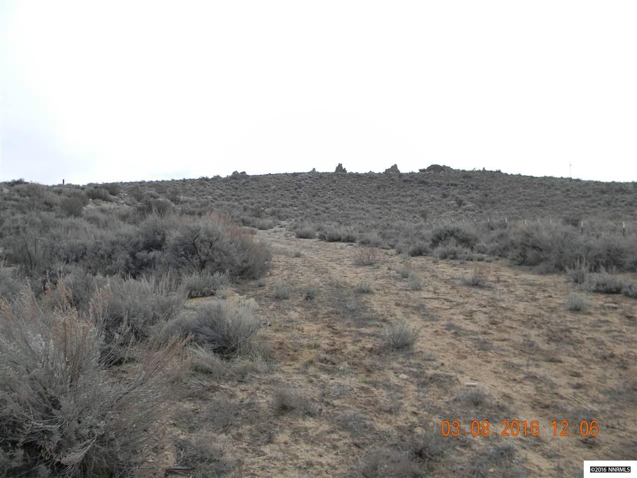 55 Arabian Way - Photo 1