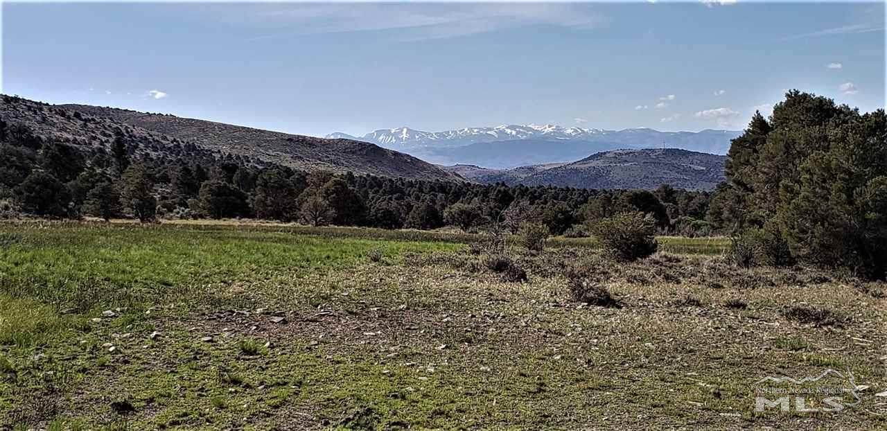 apn1121360 Hwy 395 Eastside - Photo 1