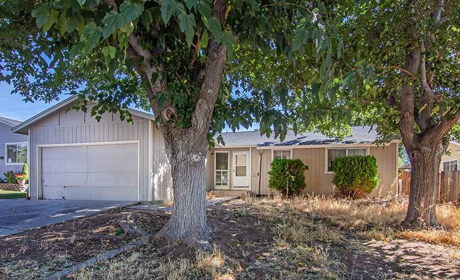 3520 Puccinelli Drive - Photo 1