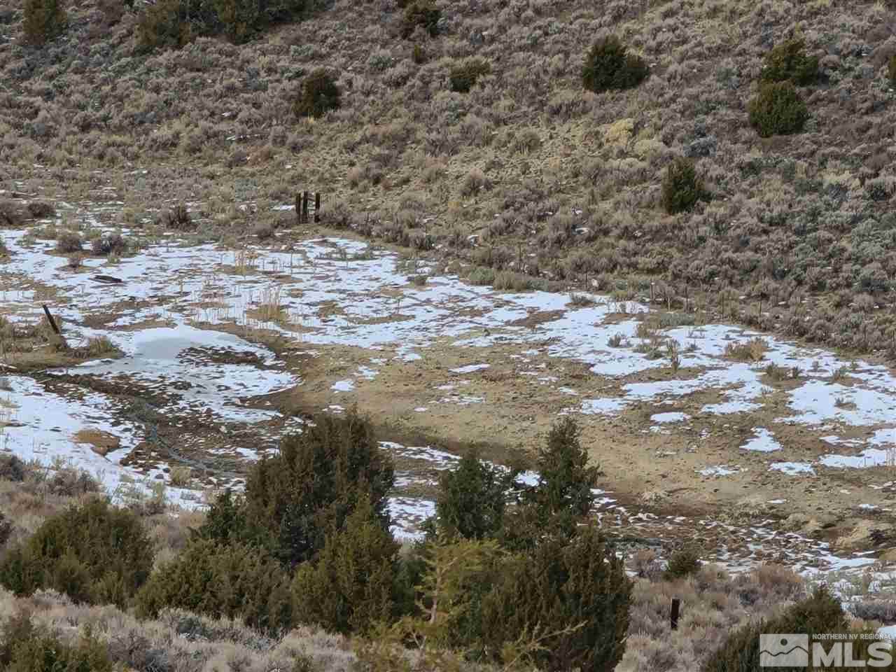 Pond Peak Rd - Photo 1
