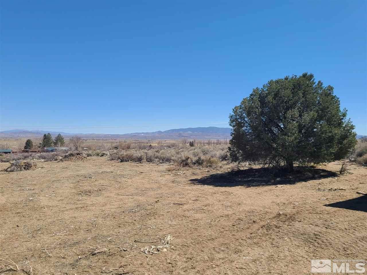 155 Upper Colony - Photo 1