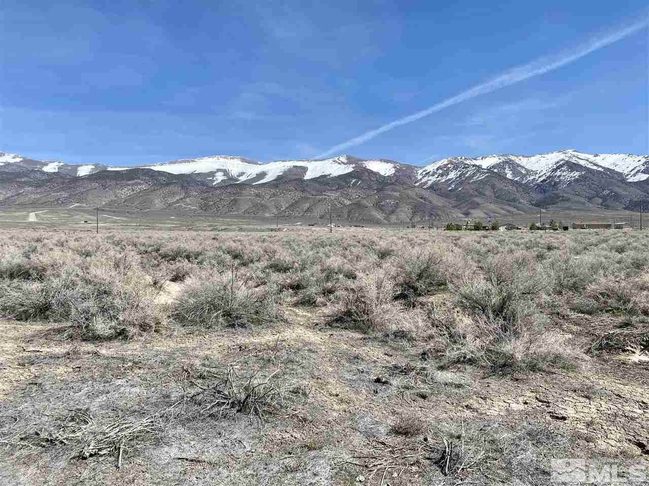 21010 Walker Lake Road - Photo 1
