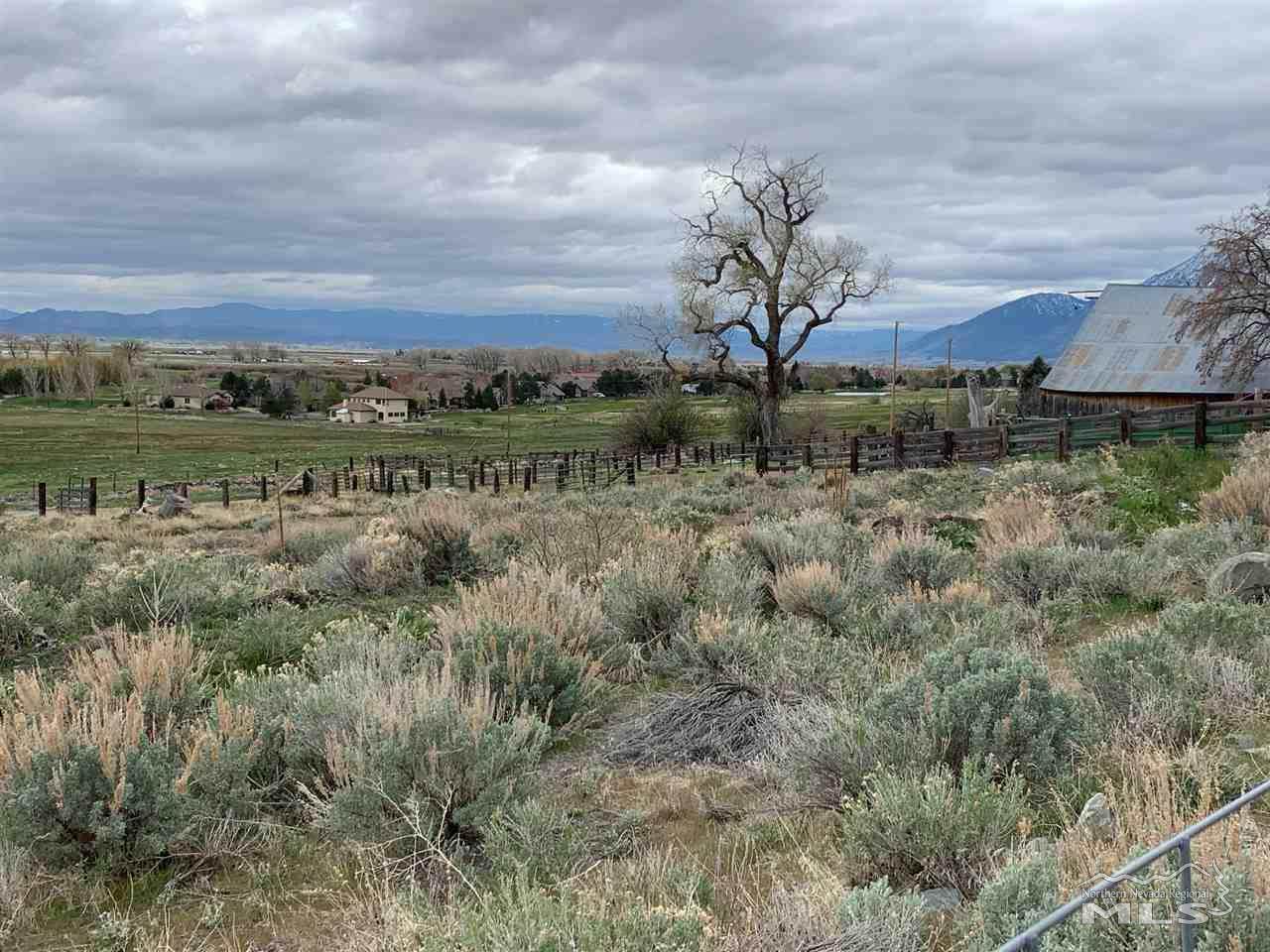 2585 Jacks Valley Road - Photo 1