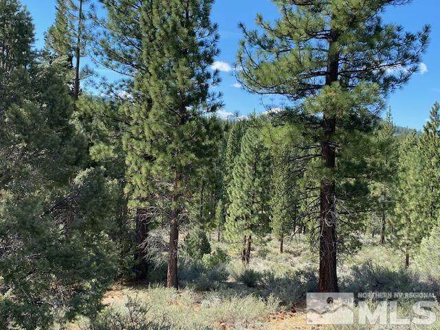 Lot 2 Raymond View - Photo 1
