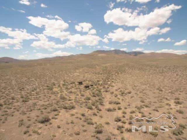 640 Acres Golden Treasures Ranch - Photo 1