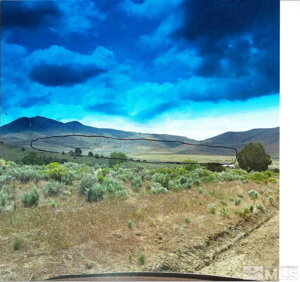 00 Palomino Valley - Photo 1