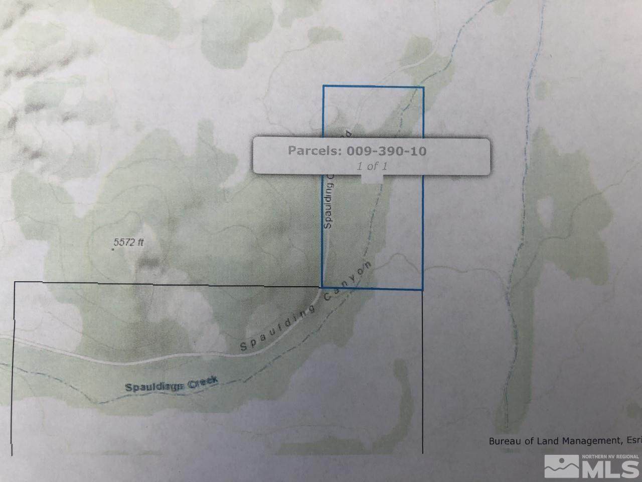10 Spalding Canyon - Photo 1