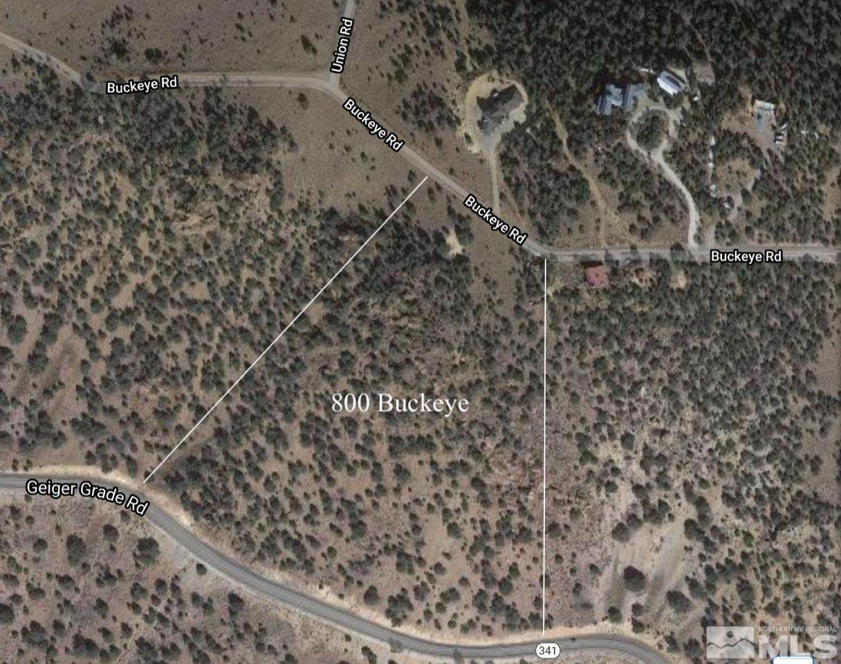 800 Buckeye Rd - Photo 1