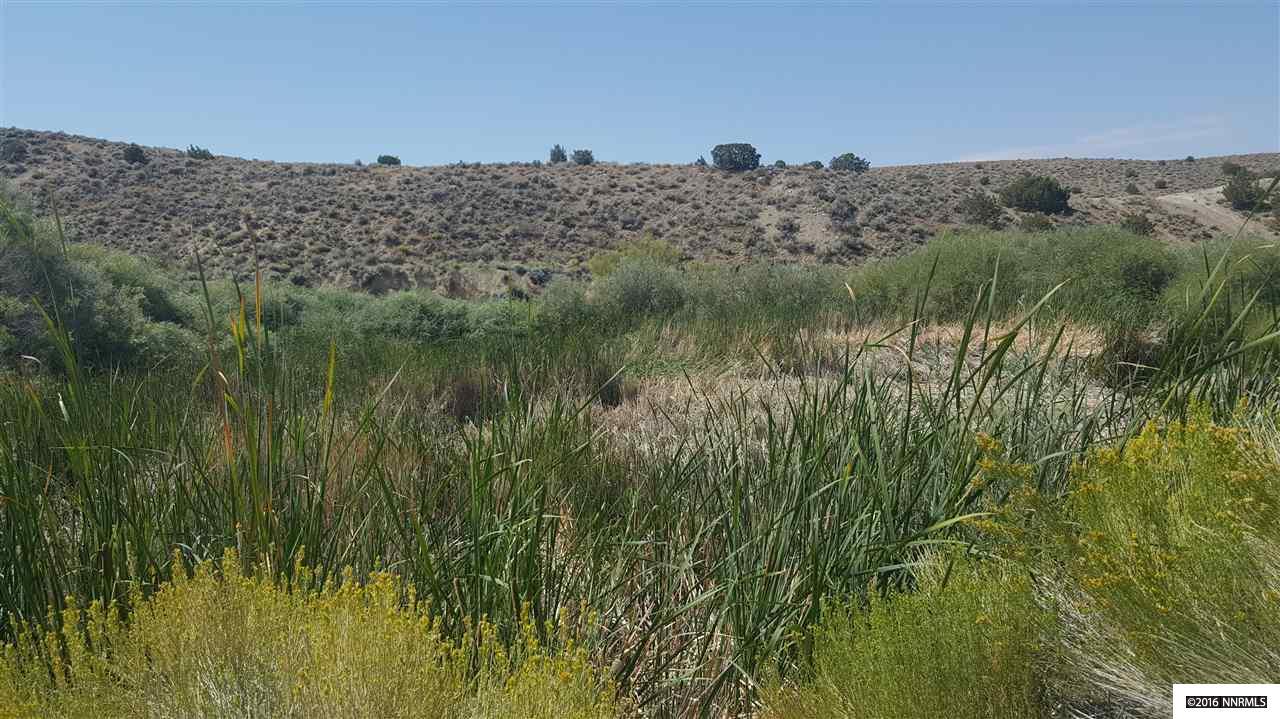 Mining Land Near Florida Cyn Mine - Photo 1