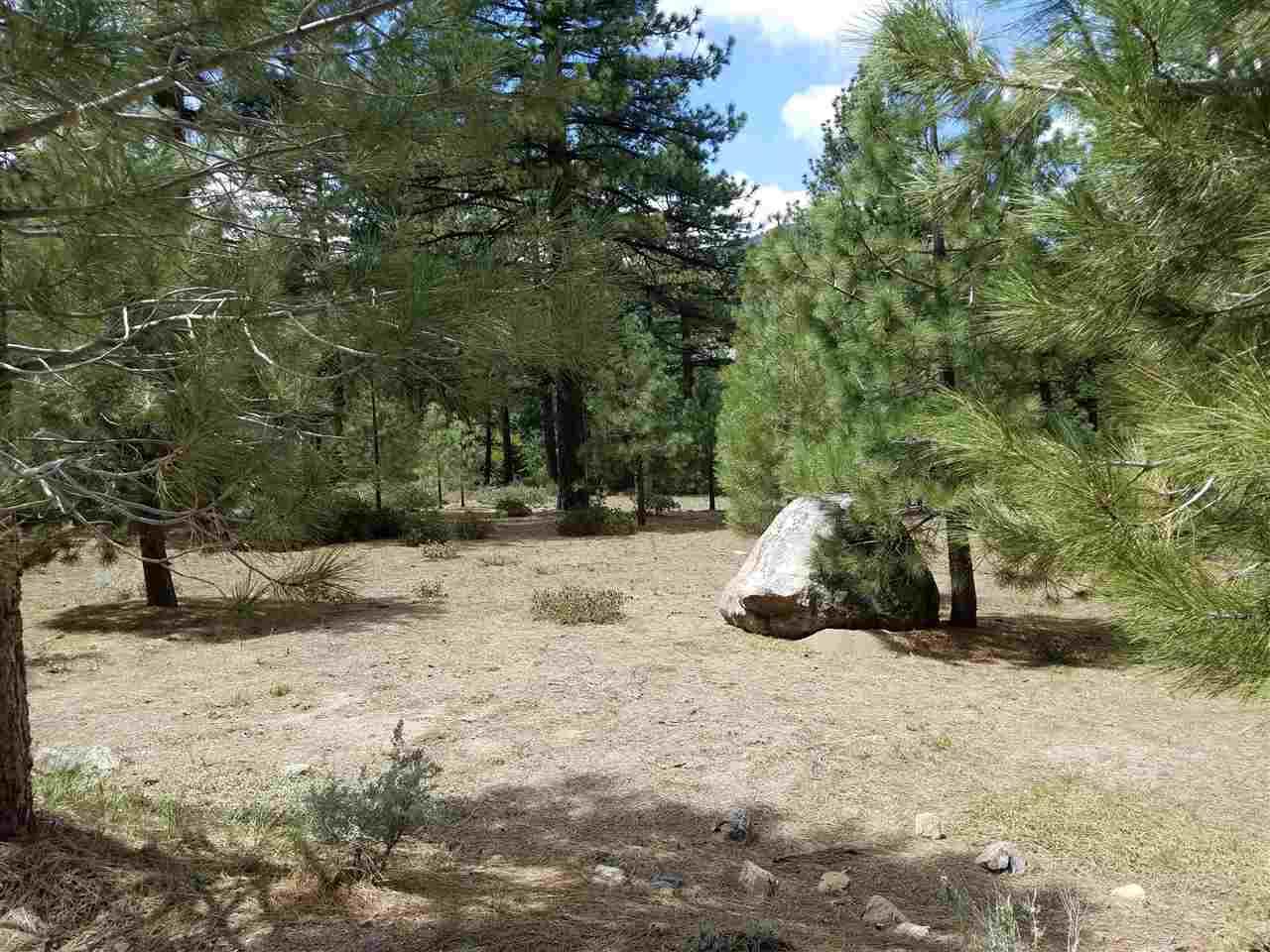 950 Blue Spruce Road - Photo 1