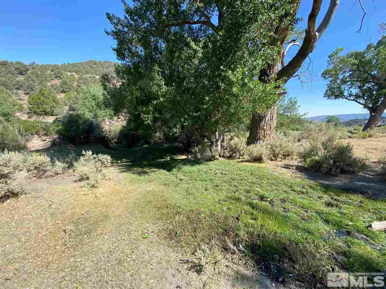 Virginia City Ranches - Photo 1