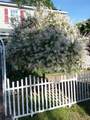 23 Shield Street - Photo 29