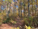 1285 Sherman Farm Road - Photo 9