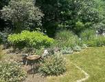 12 White Pine Drive - Photo 40