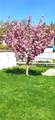 45 Phillips Street - Photo 33