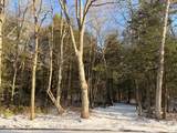 0 Chopmist Hill Road - Photo 2