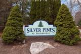 12 Silver Pines Boulevard - Photo 2