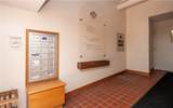 28 Pelham Street - Photo 16