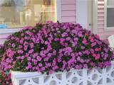 19 Winnapaug Road - Photo 25