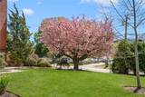 15 Curtis Street - Photo 2