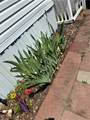 245 Manton Street - Photo 2