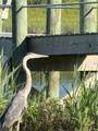 26 Conch Road - Photo 25