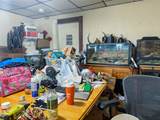65 Bellingham Street - Photo 37