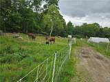 241 Cornell Road - Photo 27
