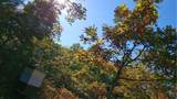 241 Cornell Road - Photo 40