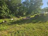 241 Cornell Road - Photo 45