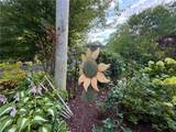209 Skunk Hill Road - Photo 42