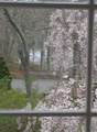 44 Rock Ridge Road - Photo 22