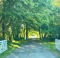 4458 Tower Hill Road - Photo 8